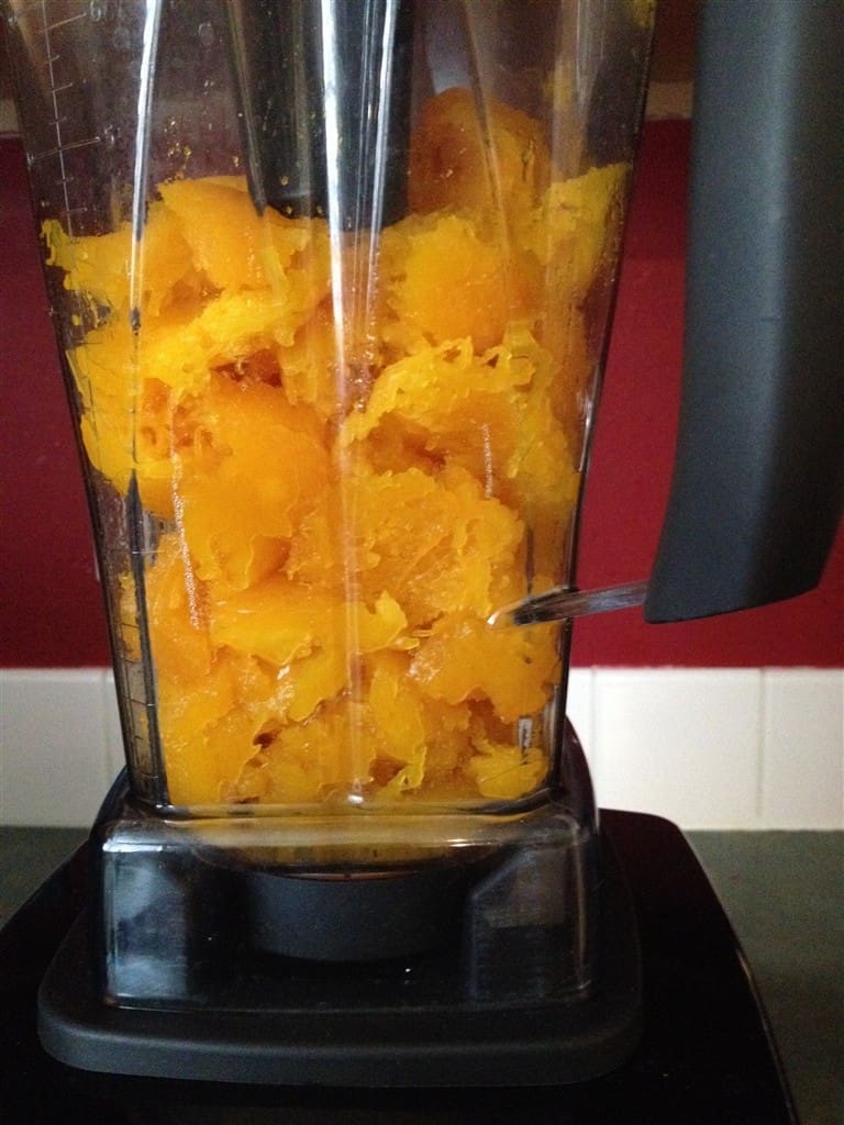 Pumpkin Puree in Vitamix