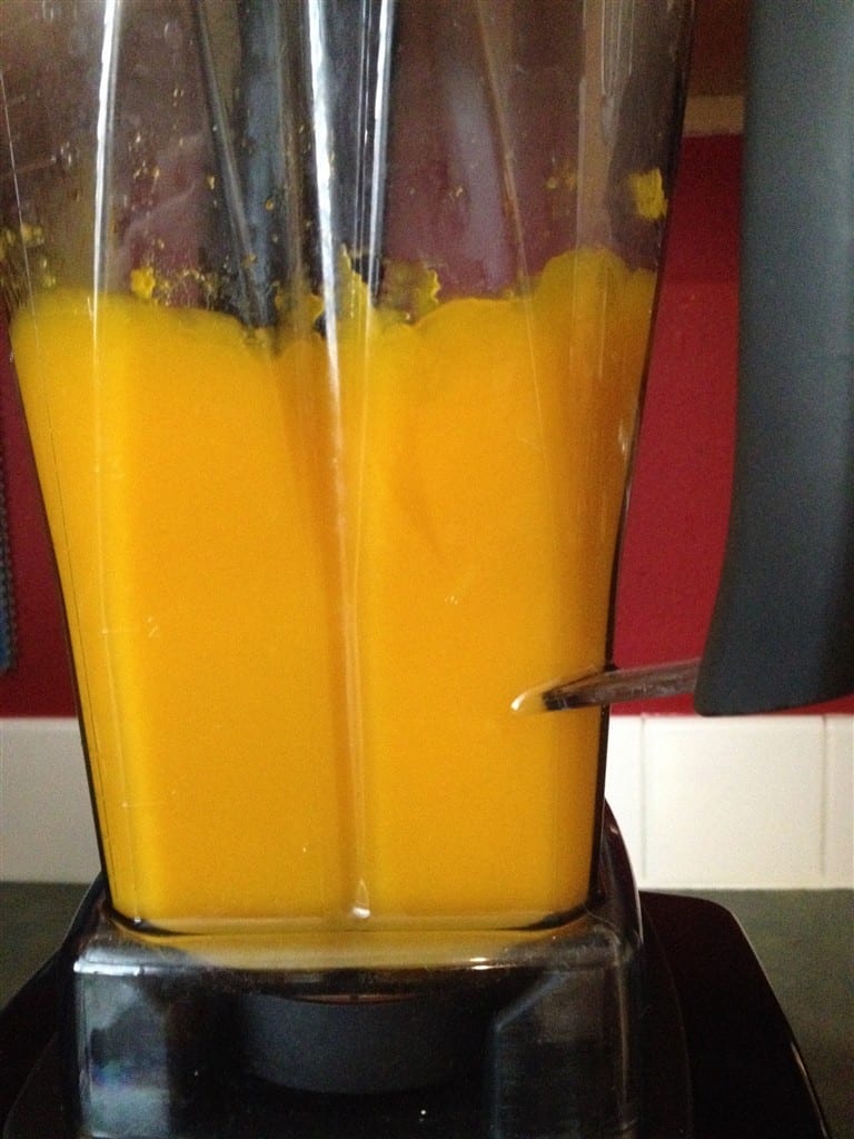 Pumpkin Puree in Vitamix