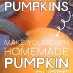 Grow Your Own Pumpkins And Make Homemade Pumpkin Puree
