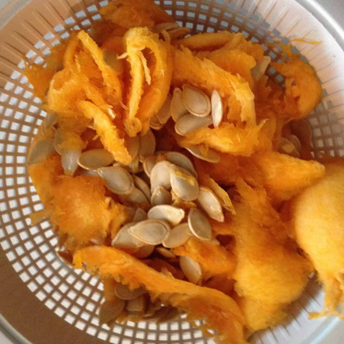 Pumpkin guts in a white strainer.