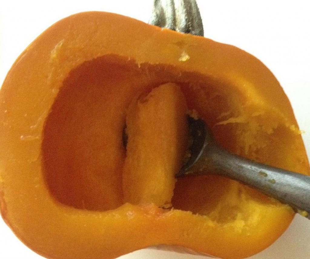 Pumpkin Puree