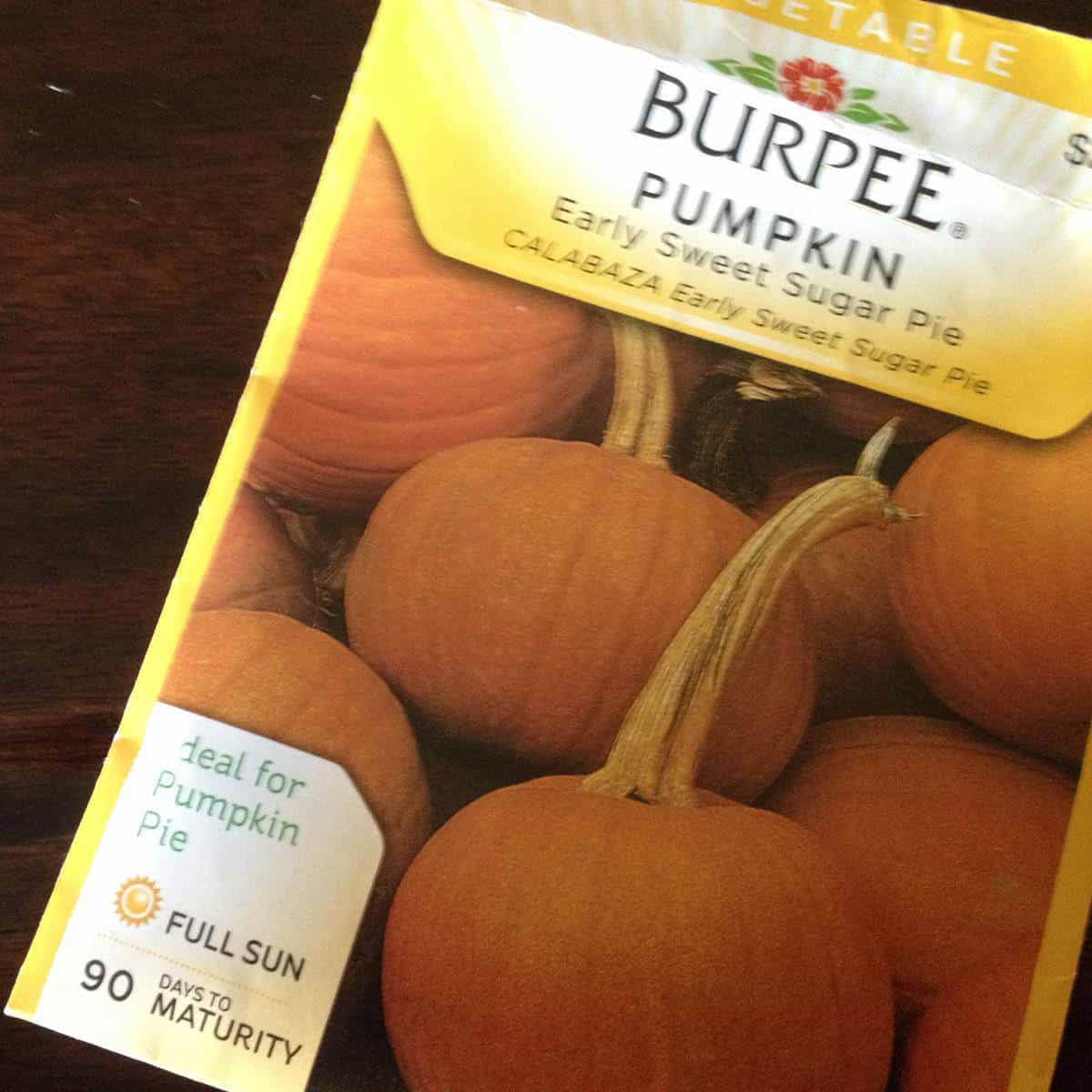 Package of Burpee pie pumpkin seeds.