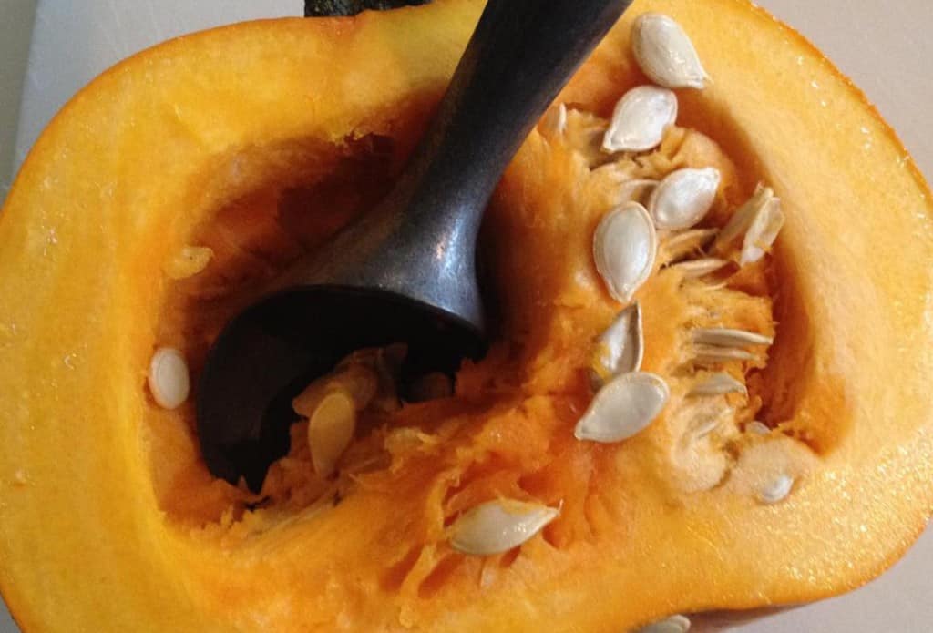 Pumpkin Puree