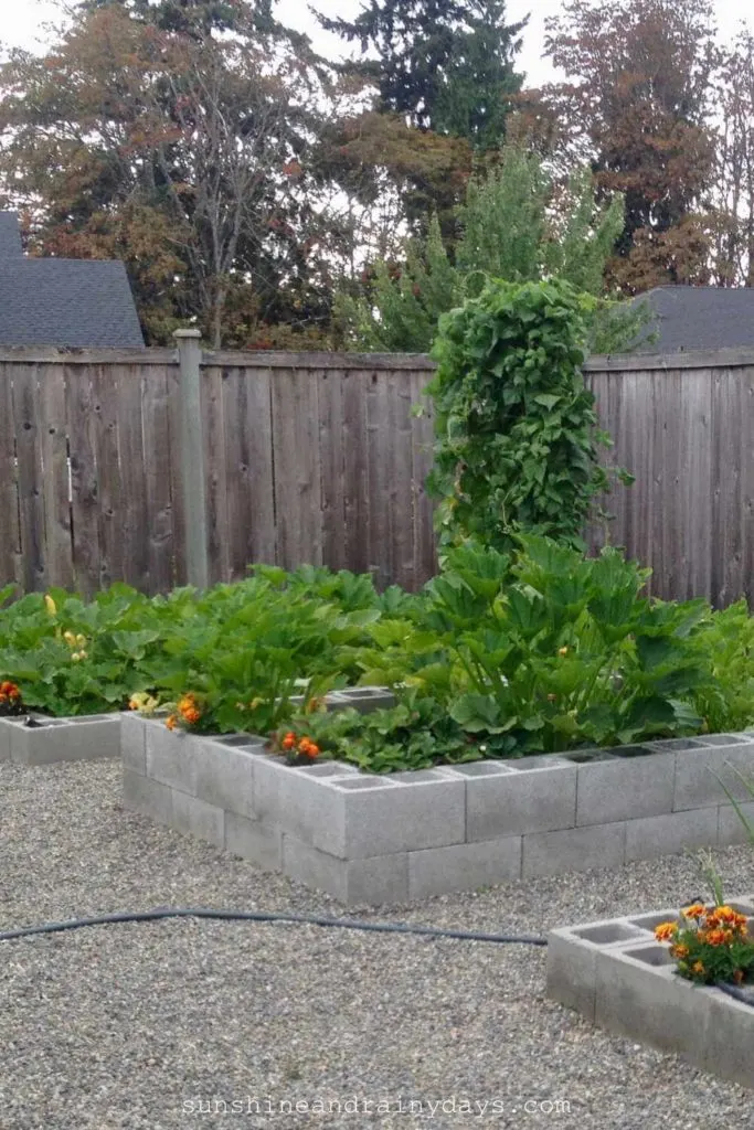 How to Build a Cinder Block Raised Garden Bed - Sunshine and Rainy Days