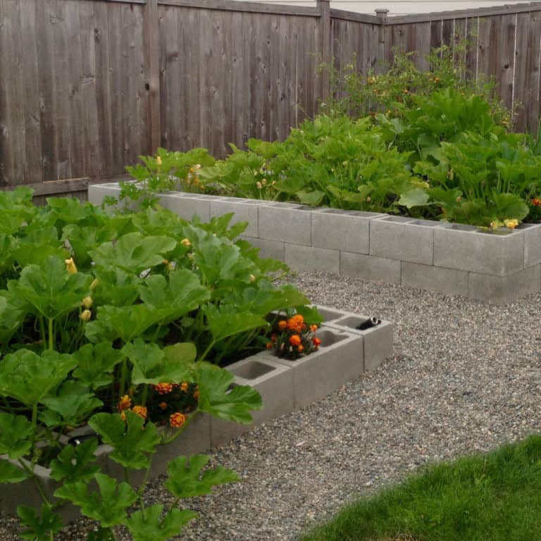 How to Build a Cinder Block Raised Garden Bed
