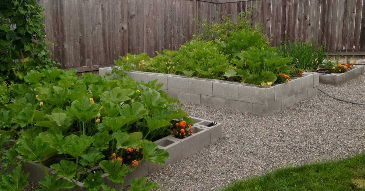 How to Build a Cinder Block Raised Garden Bed - Sunshine and Rainy Days