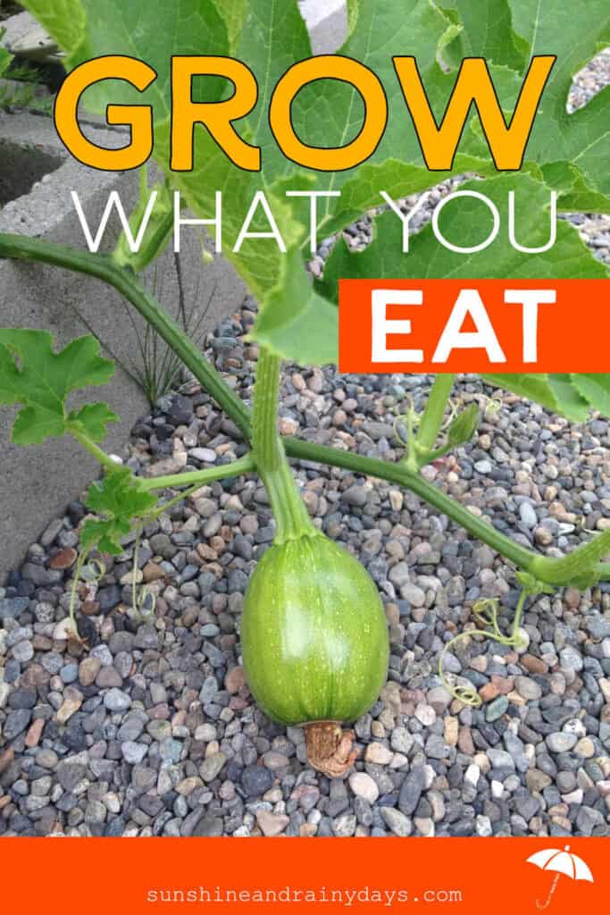 Grow What You Eat