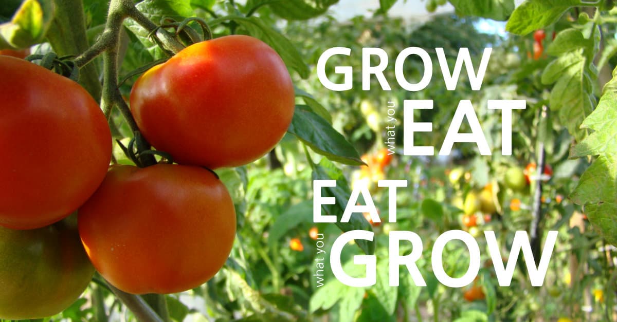 Grow What You Eat, Eat What You Grow - Sunshine and Rainy Days