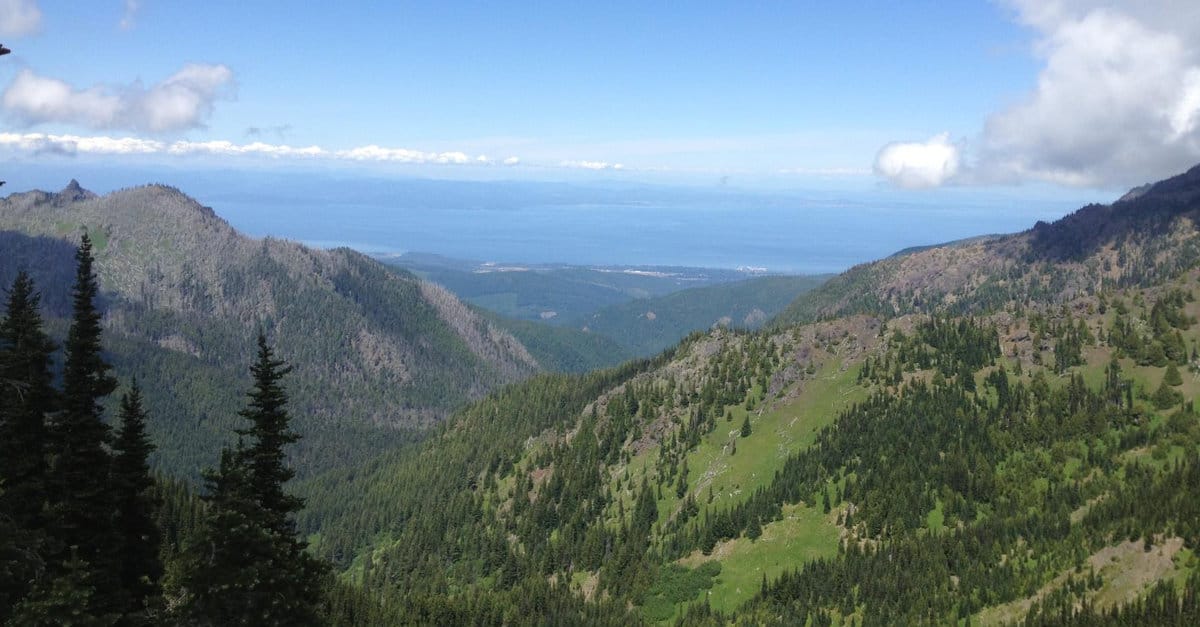 Hurricane Ridge