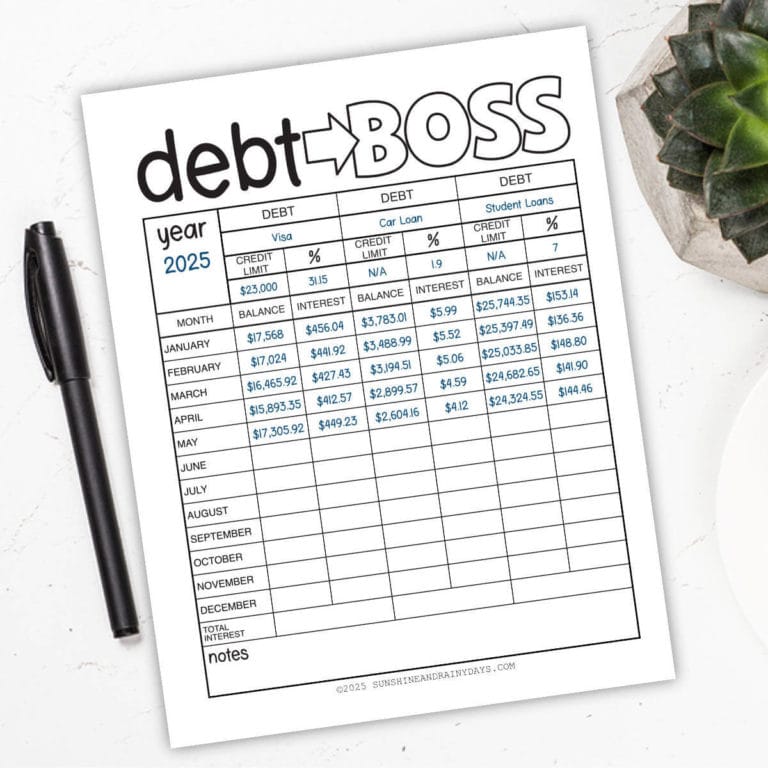 Partially filled out debt boss worksheet with a succulent and pen nearby.