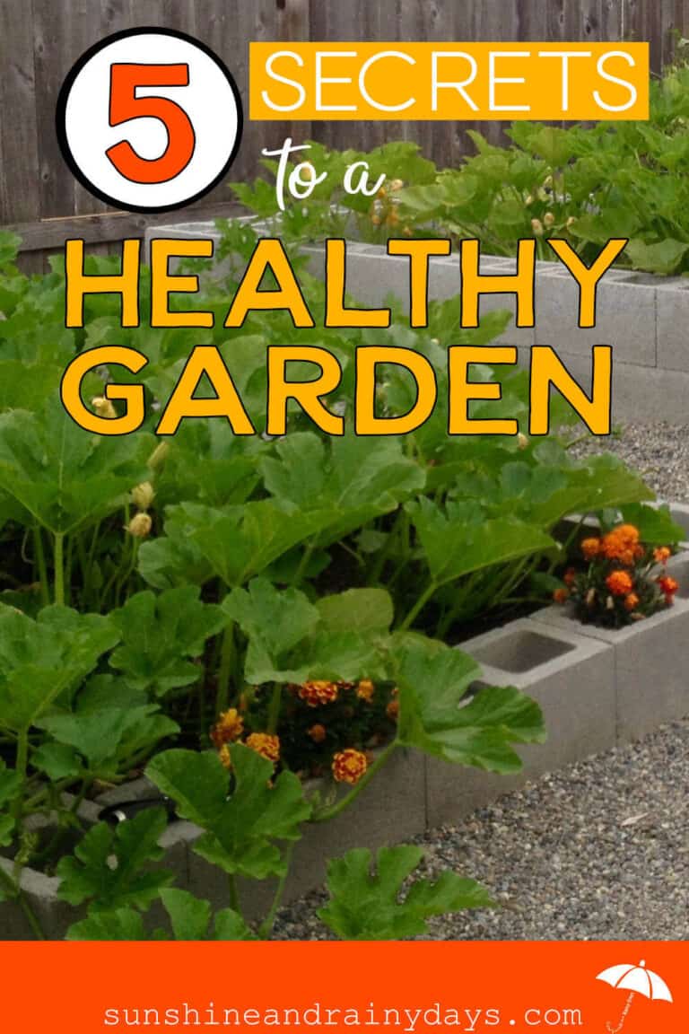 5 Secrets To A Healthy Garden