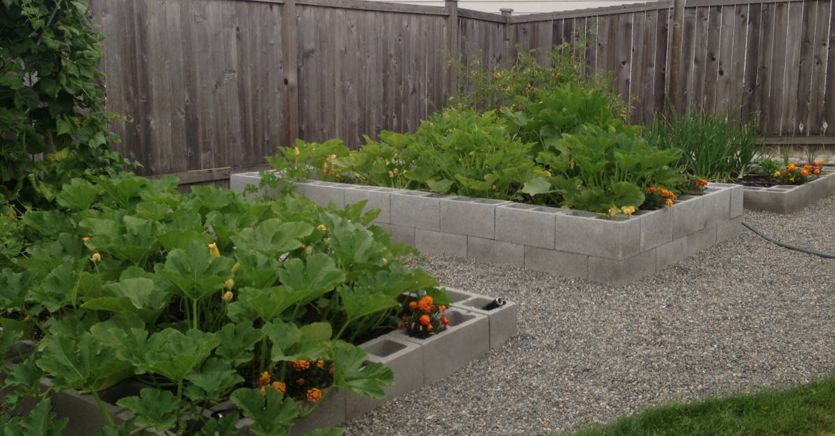 Cinder Block Raised Garden Beds