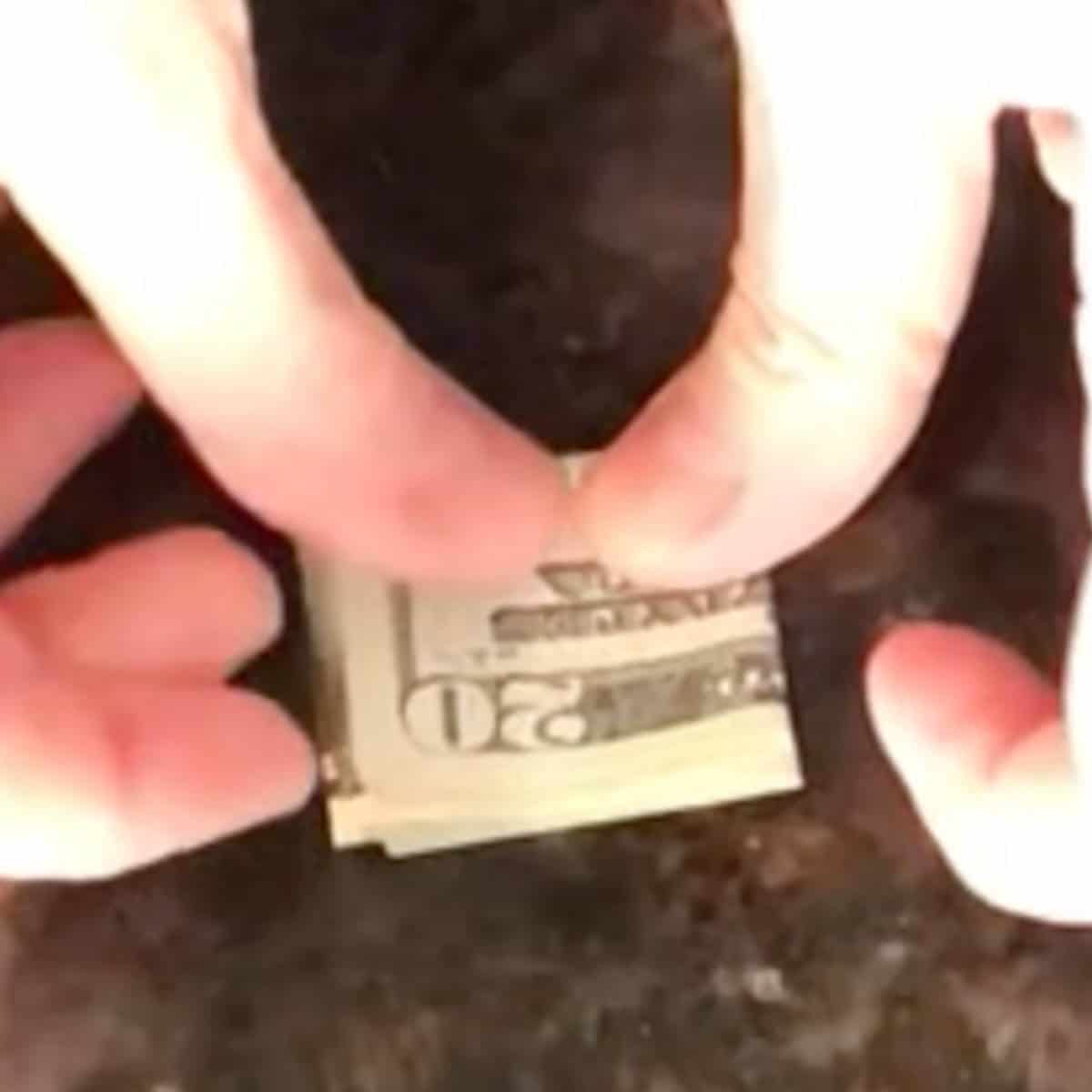 Hands that have folded a twenty dollar bill.