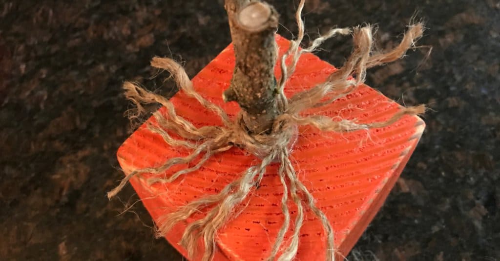 4 x 4 pumpkin with frayed jute.