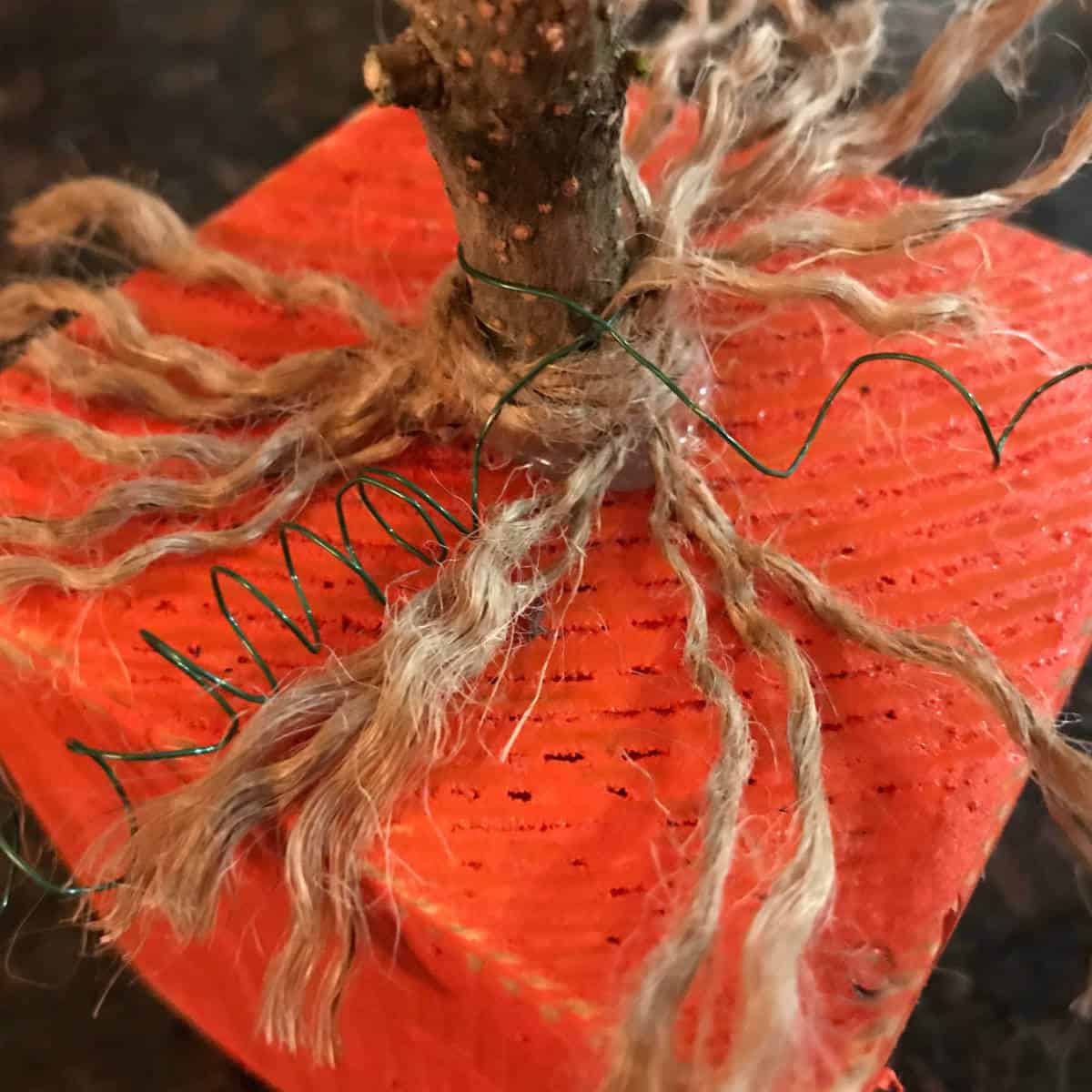 Jute and green wire wrapped around a stem on a 4 x 4 pumpkin.