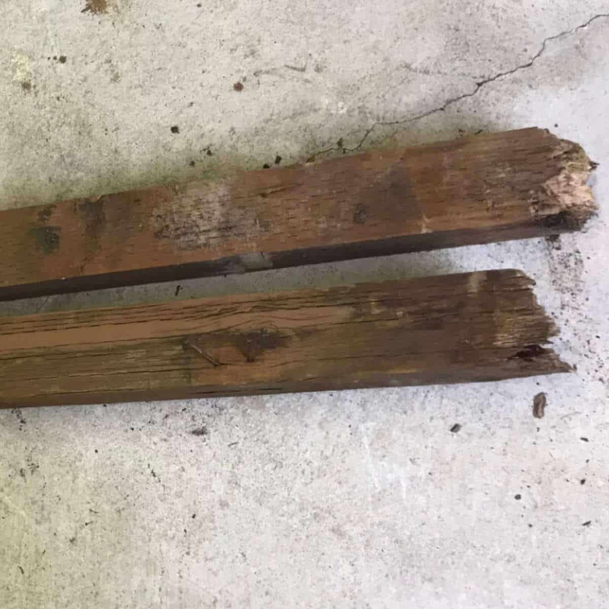 Old fence posts that were taken out and are laying on the ground.