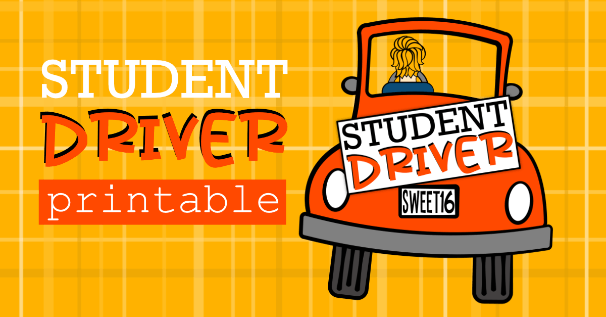 Student Driver Sign For The Teen Driver Sunshine and Rainy Days