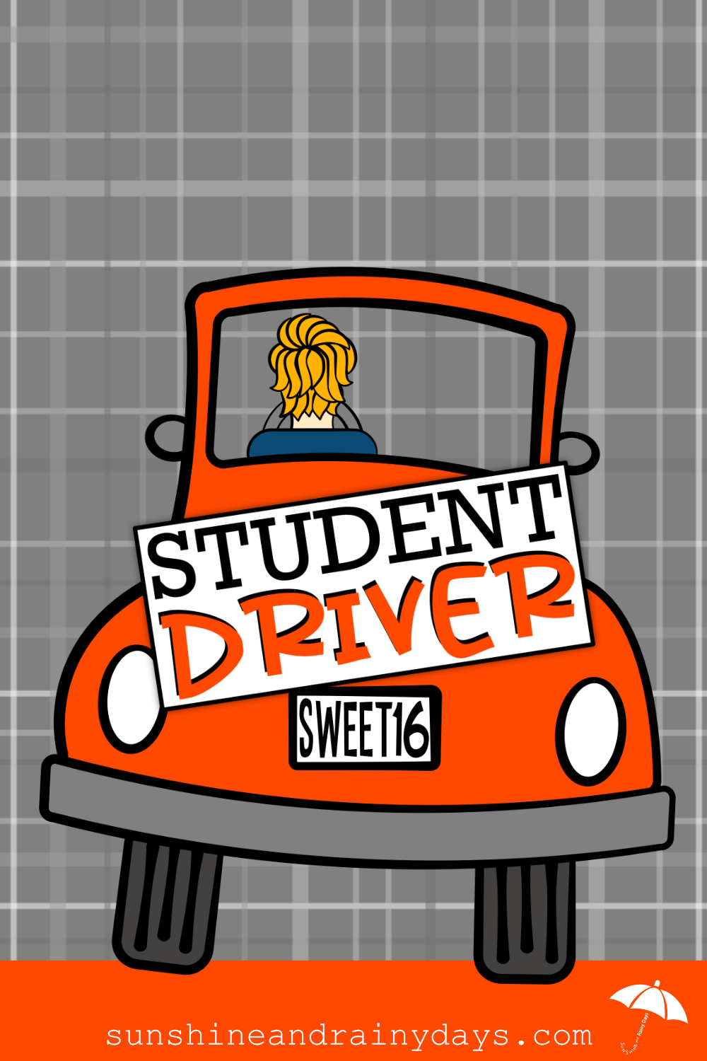 Student Driver Sign For The Teen Driver Sunshine And Rainy Days