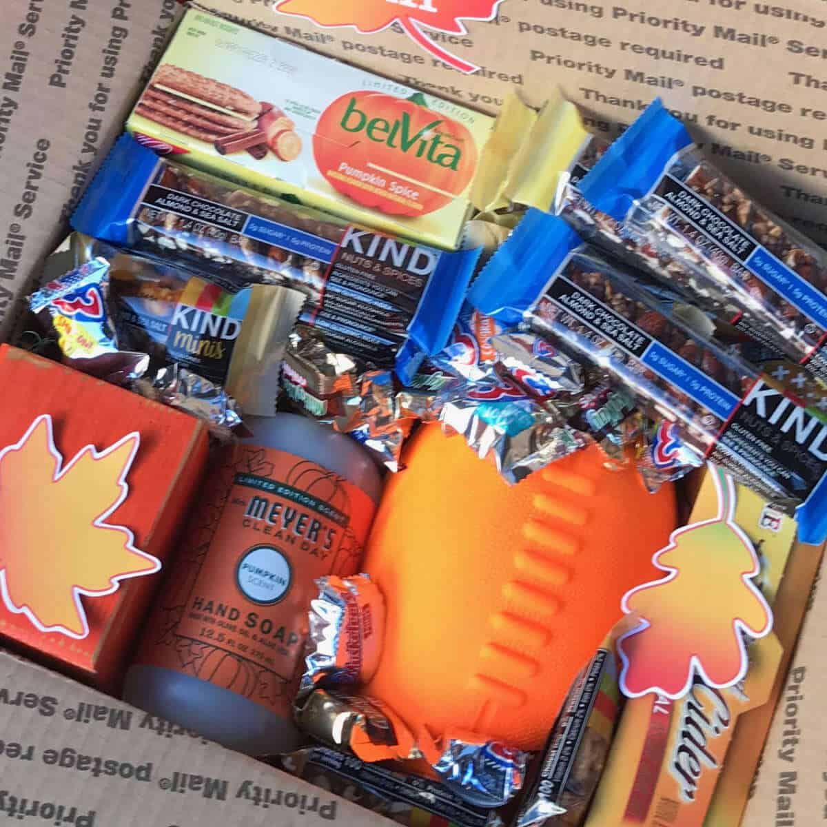 Fall snacks and goodies in a Fall Care Package box.