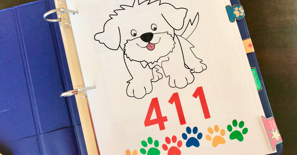 Big Book Of Everything For Pets 411 Cover Page