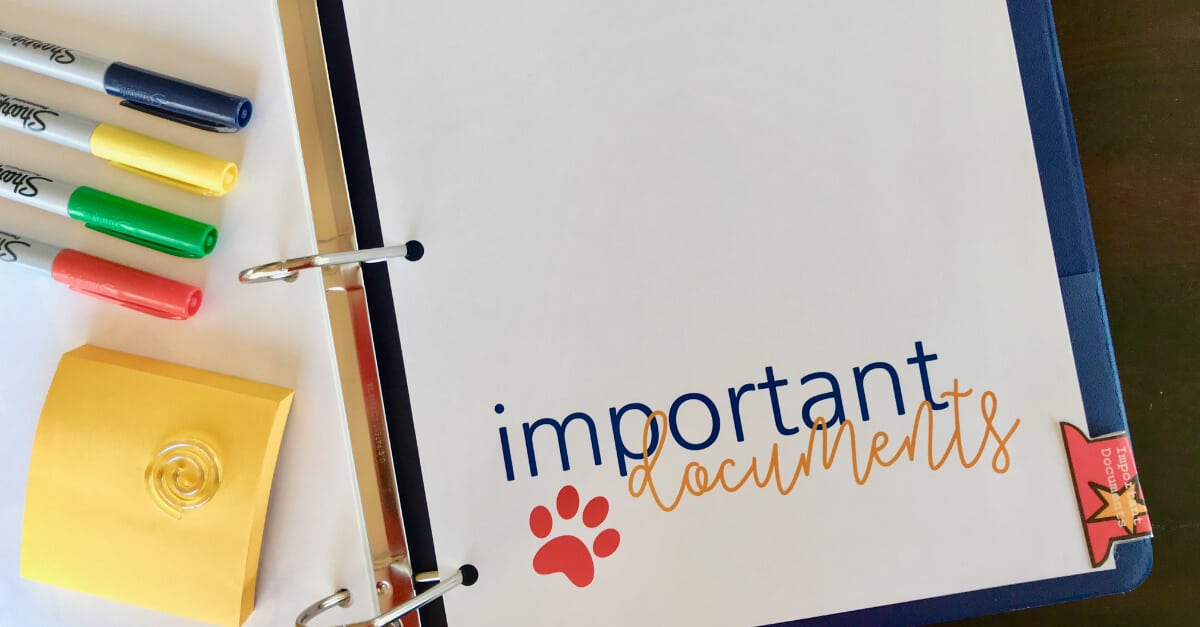 Big Book Of Everything For Pets Important Documents Cover Page
