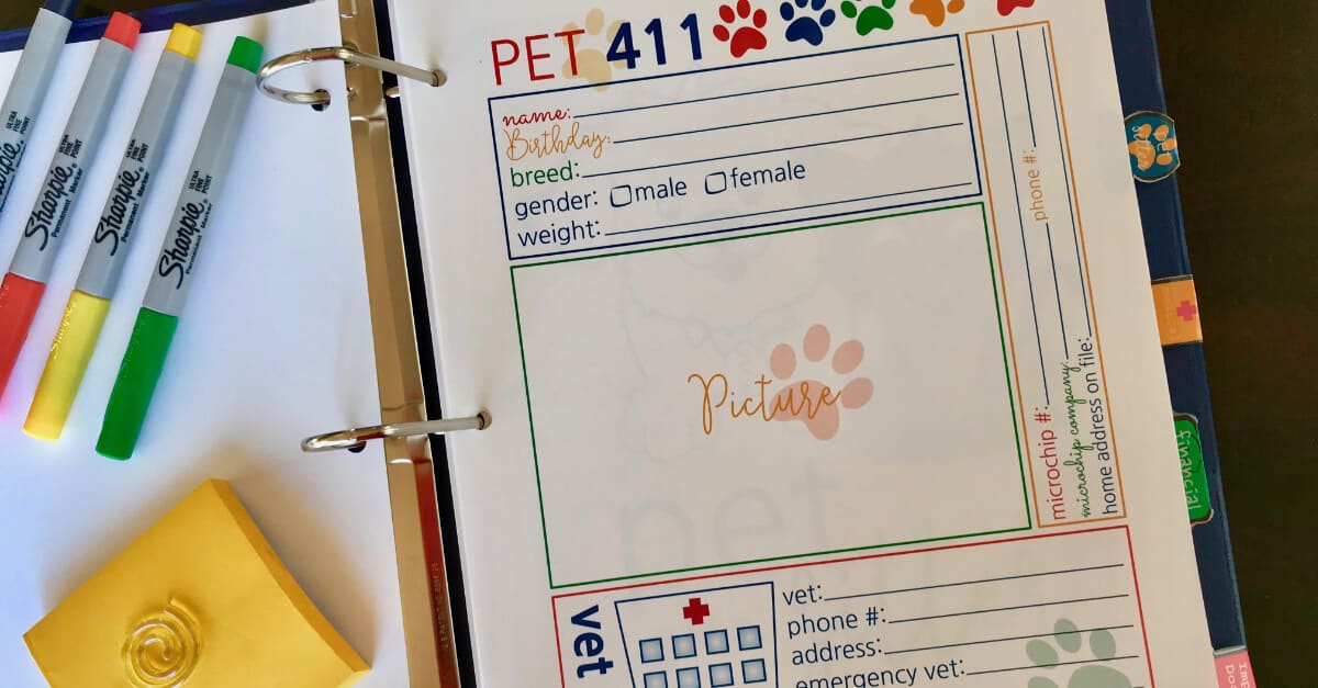 Big Book Of Everything For Pets Pet 411