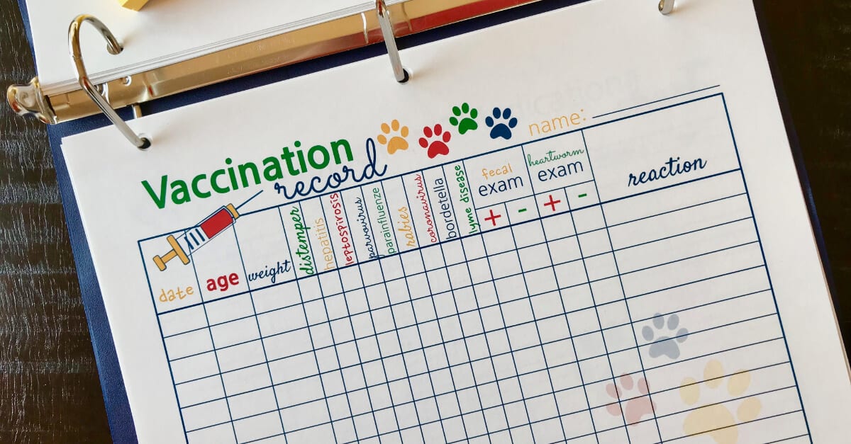 Big Book Of Everything For Pets Vaccination Record
