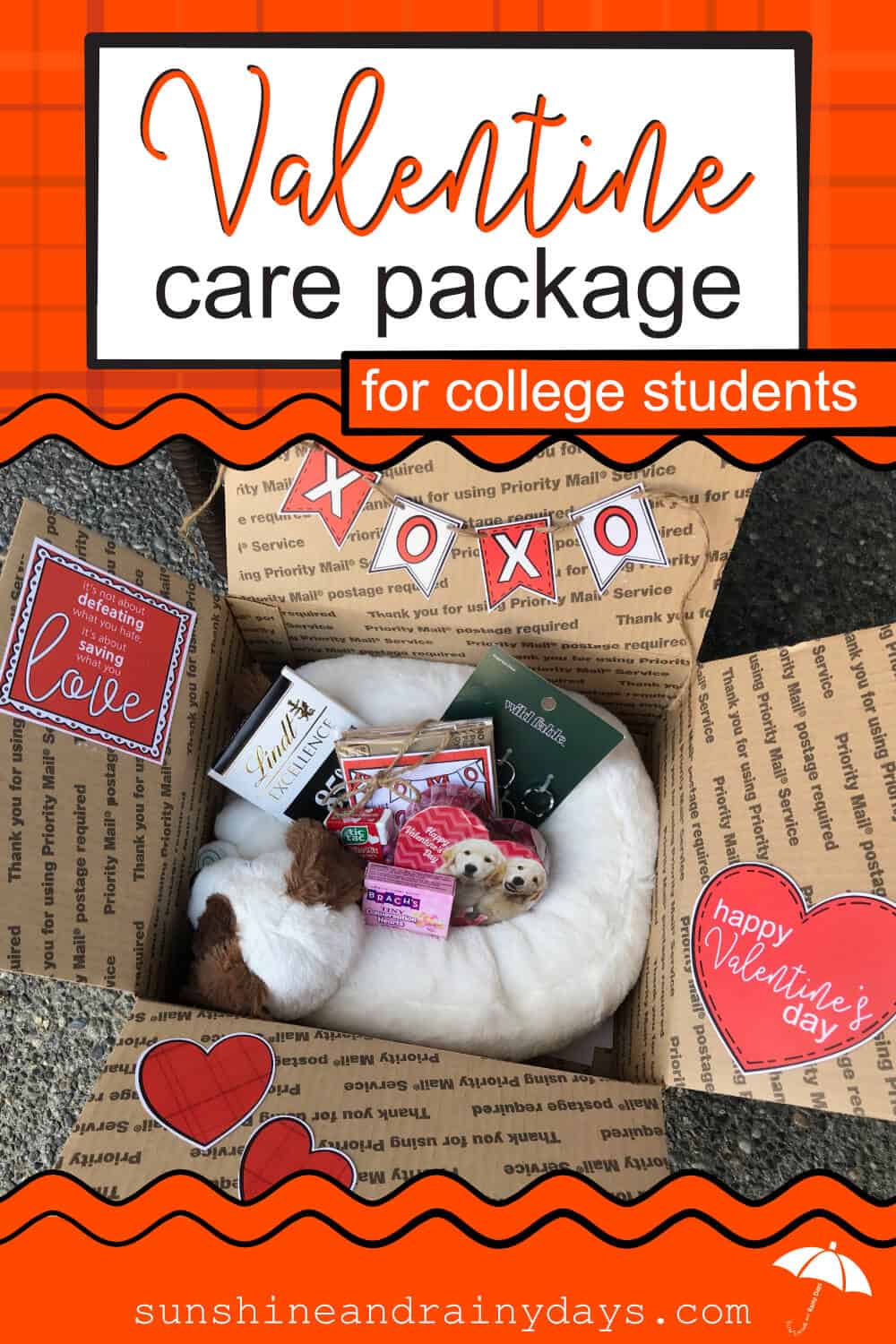 Valentine Care Package For College 