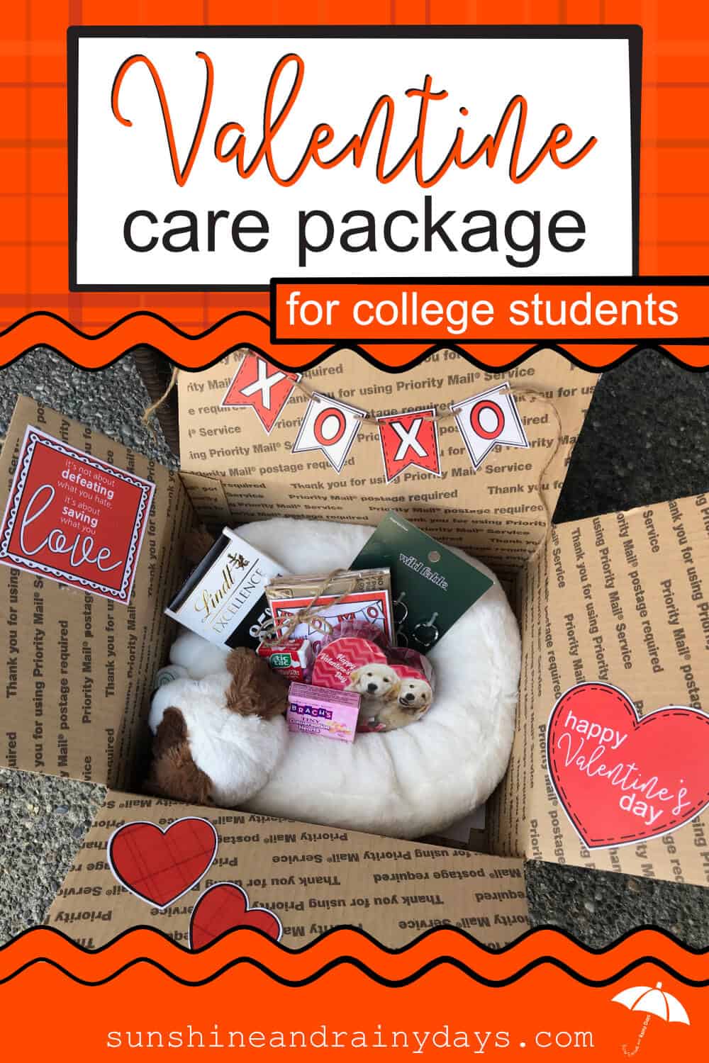 Get your Valentine Care Package For College Students Printables here ...