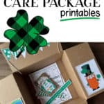 St. Patrick's Day care package box with decorated box flaps.