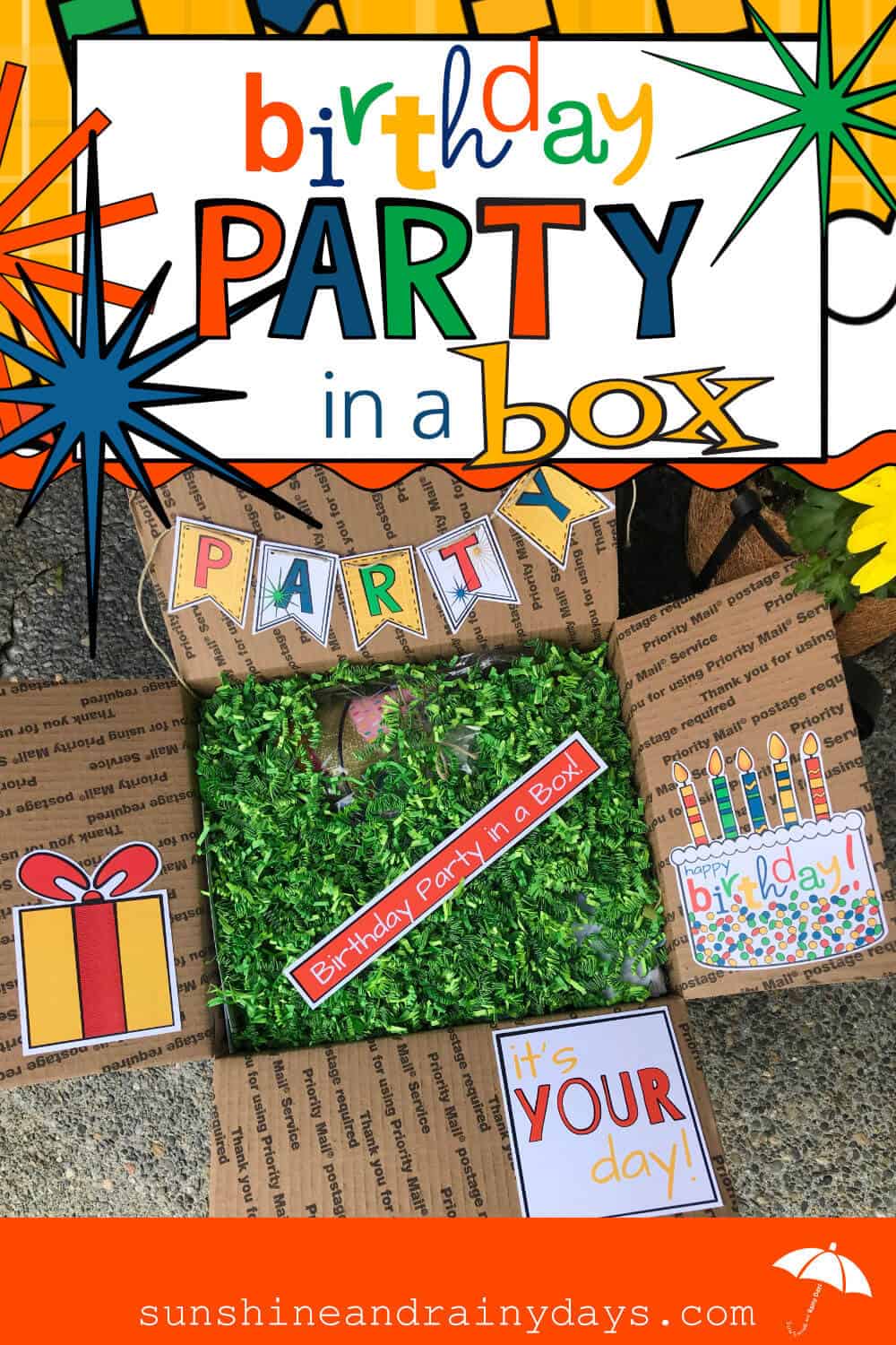 Birthday Party In A Box