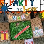Birthday Party In A Box