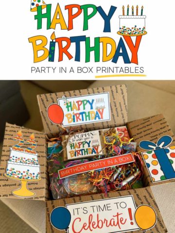 Birthday Party in a box with printable box decor.