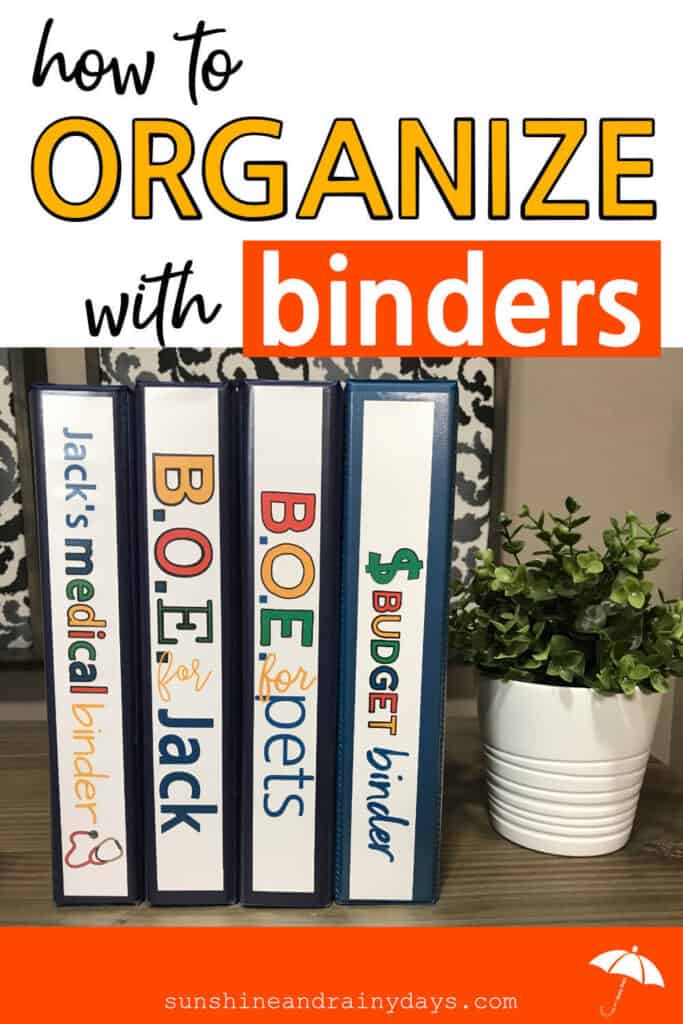 Organized Binders On A Table Next To A Plant