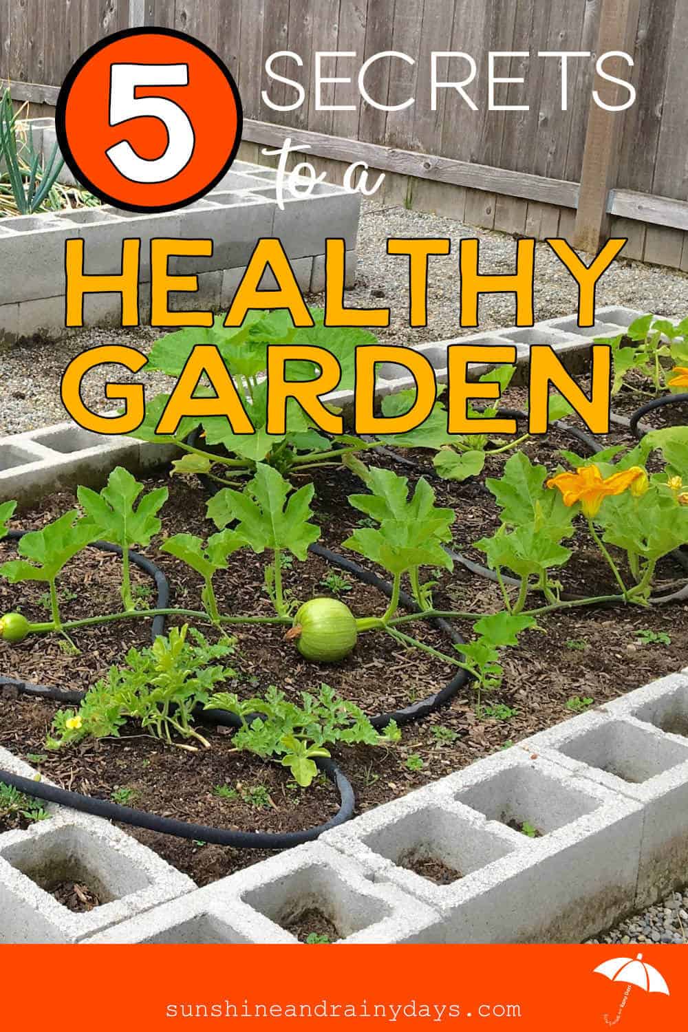 #healthygarden