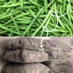How To Freeze Green Beans From Your Garden