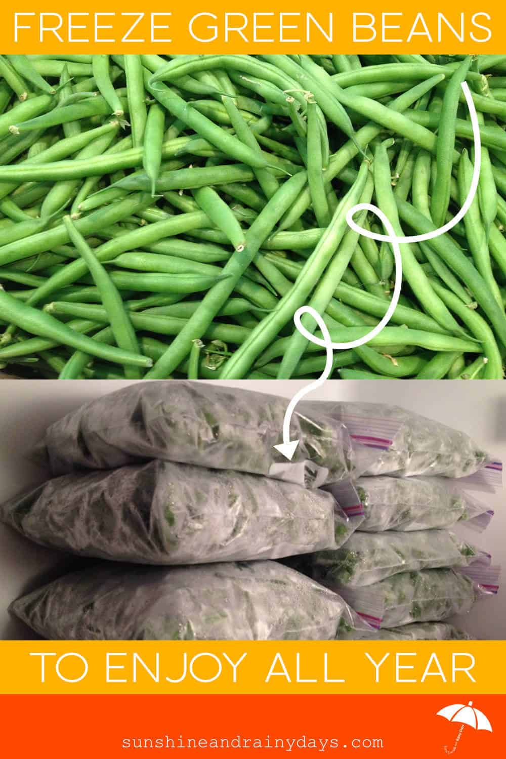 How To Freeze Green Beans From Your Garden