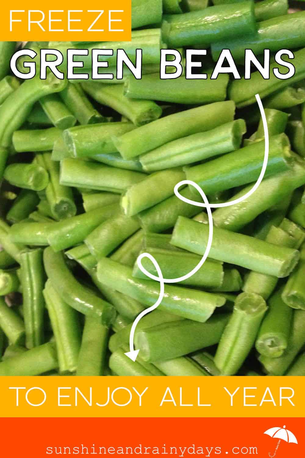 Freeze Fresh Green Beans