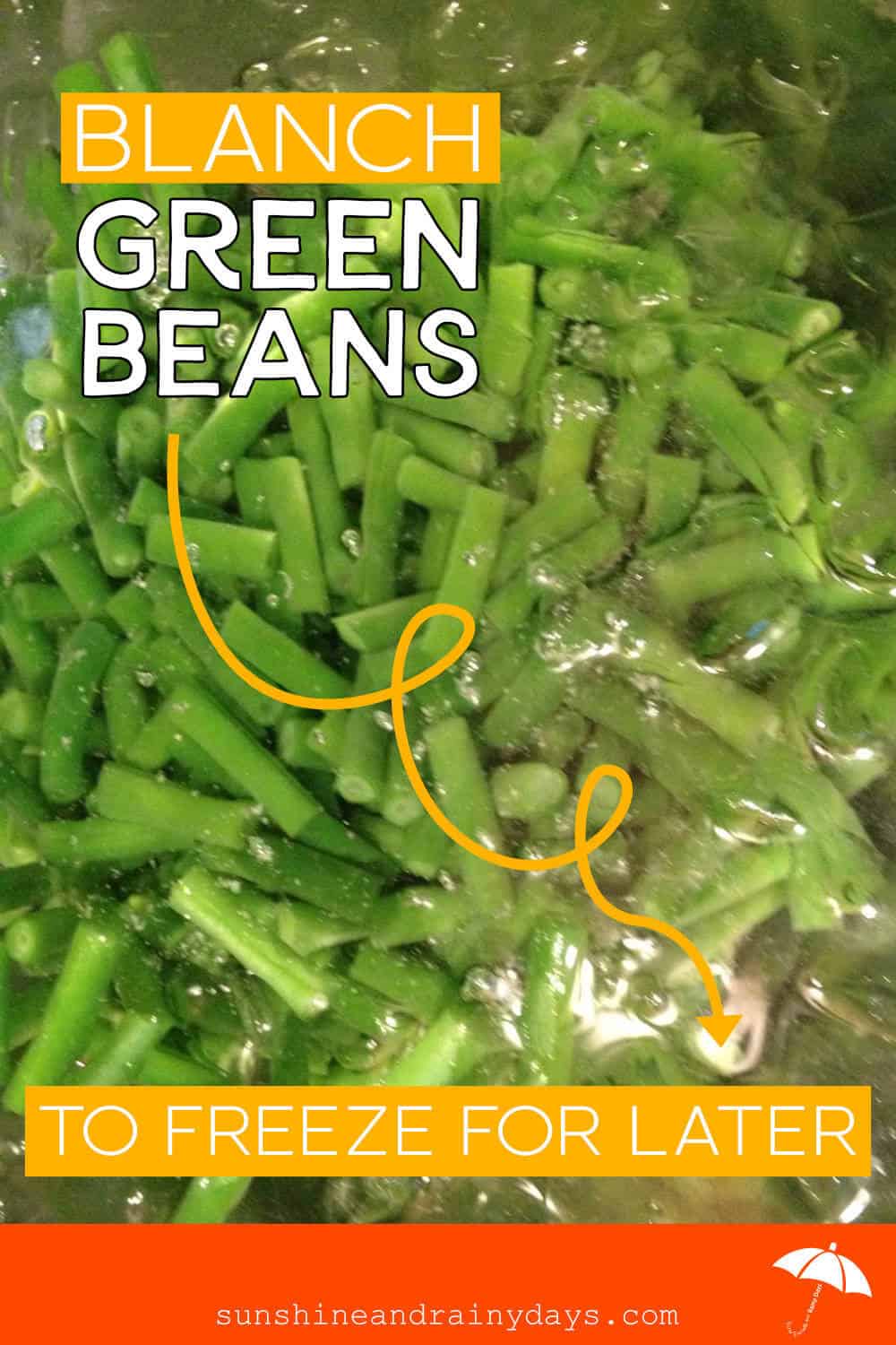 Blanch Green Beans To Freeze For Later