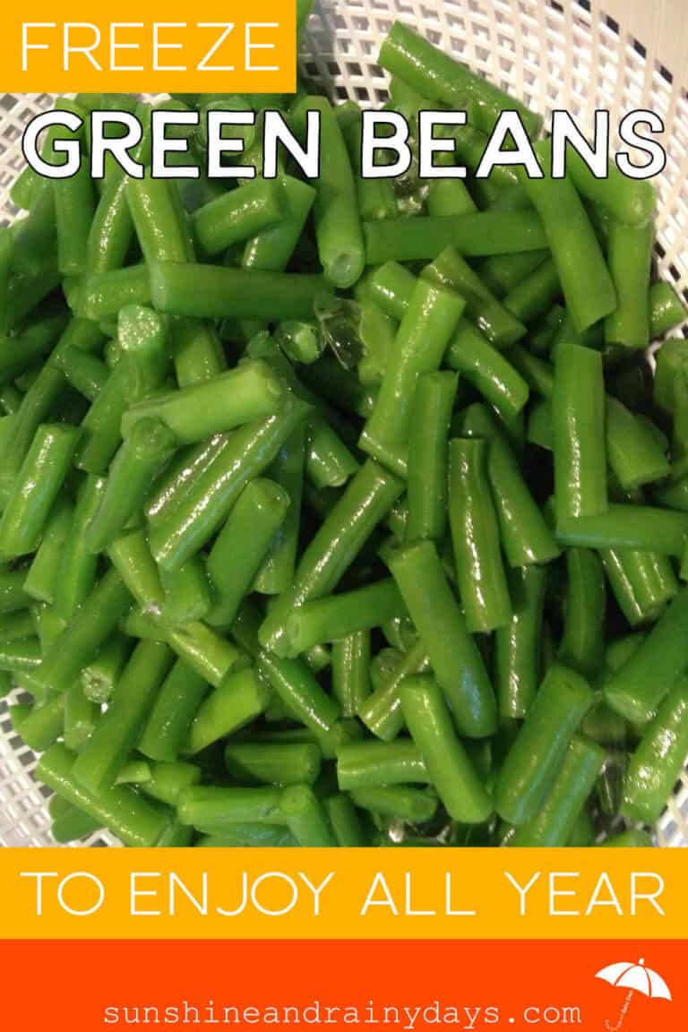 How To Freeze Green Beans - Sunshine and Rainy Days