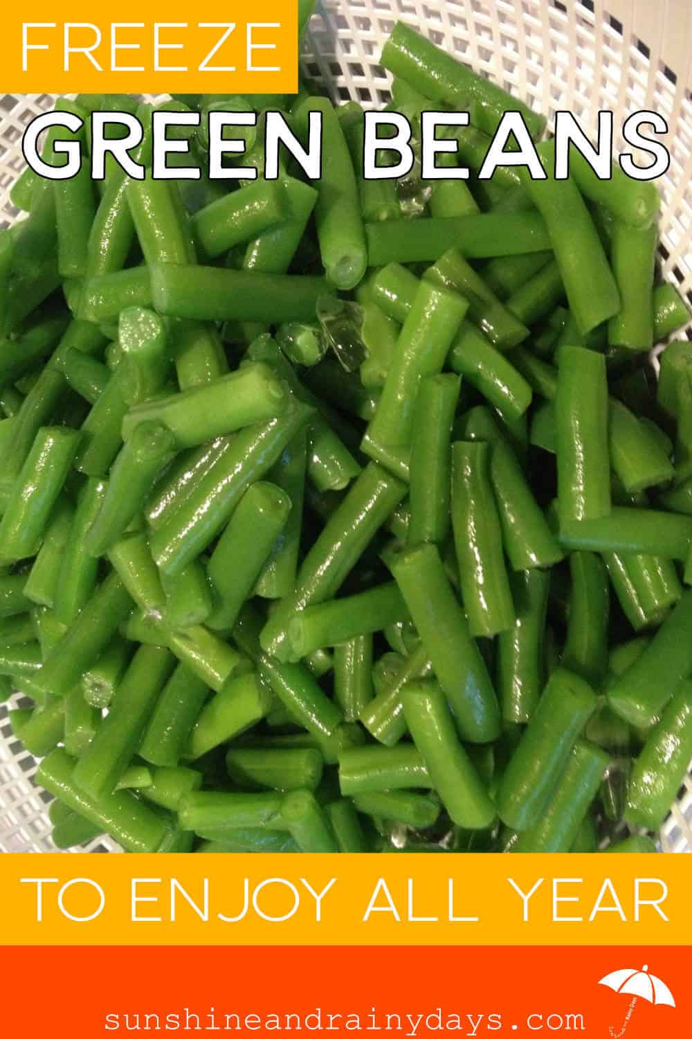 Freeze Green Beans To Enjoy All Year