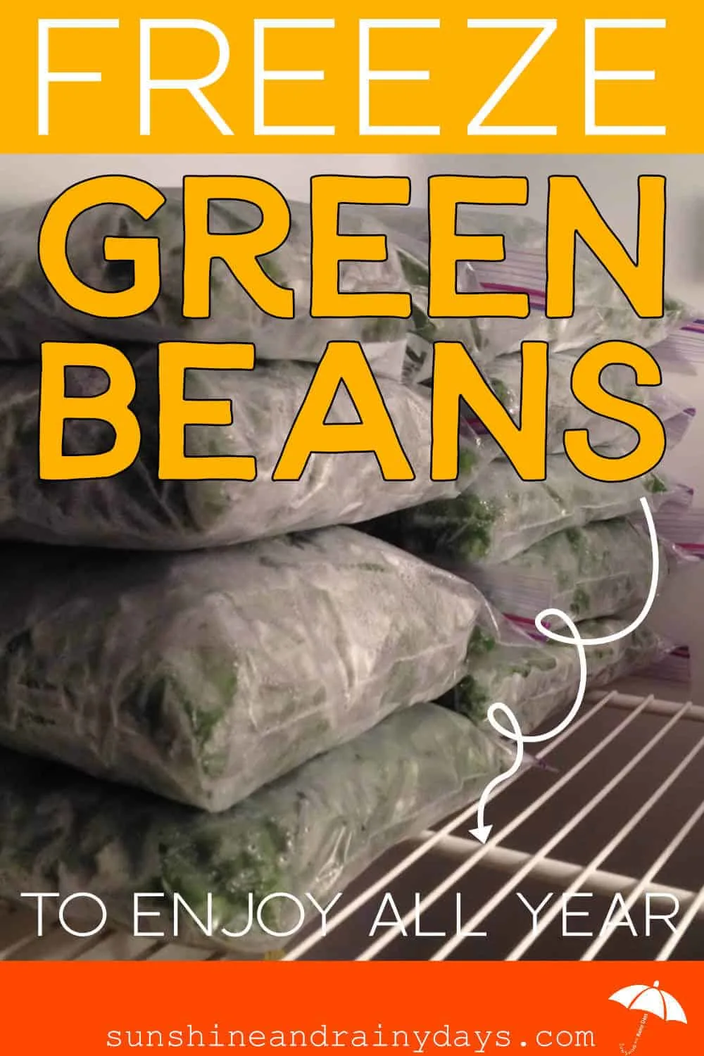 How To Freeze Green Beans To Enjoy All Year