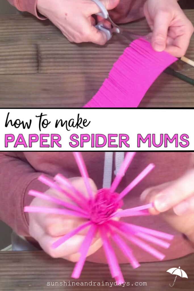 Paper Spider Mums