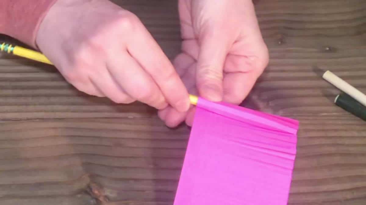 Roll The Fringed Cardstock Onto The Tip Of A Pencil