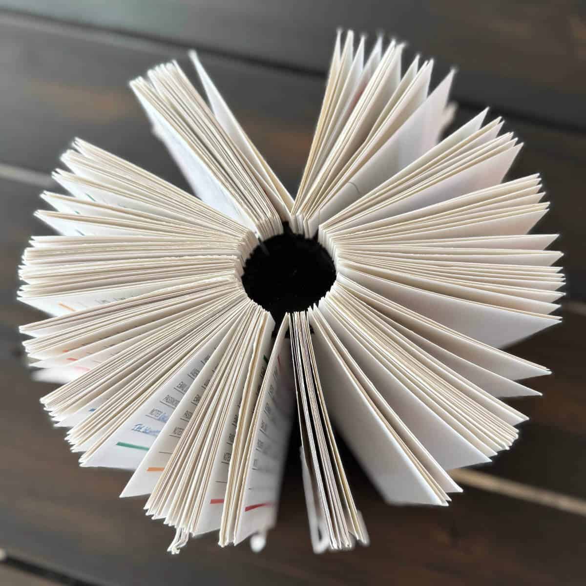 Image of a discbound password book on its side, with the pages in a circle.