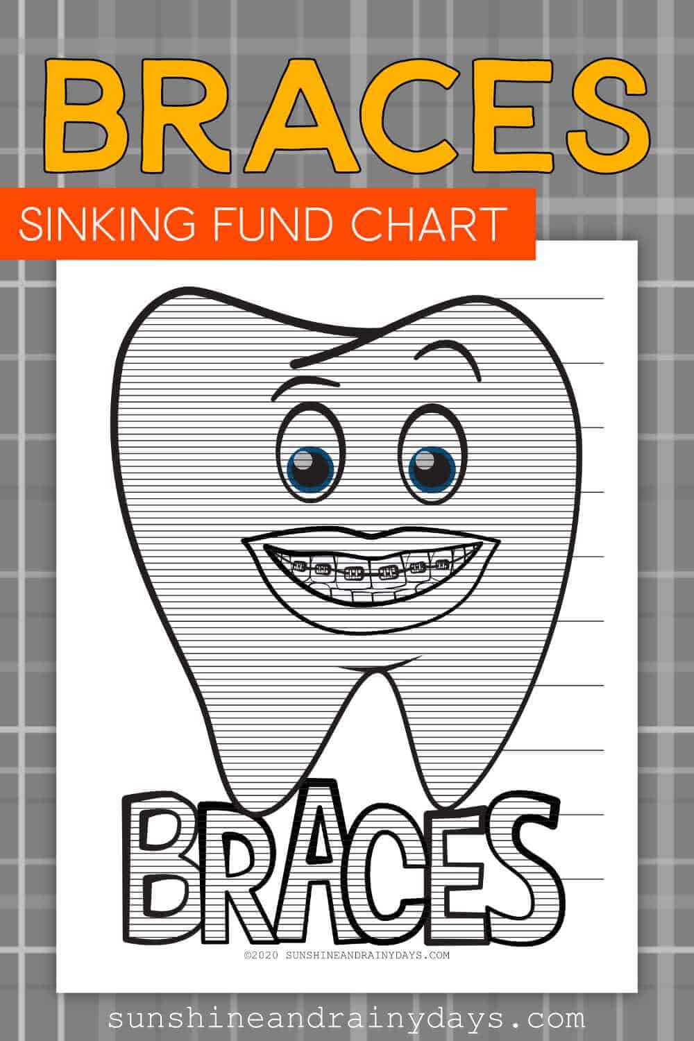 Braces Sinking Fund Chart