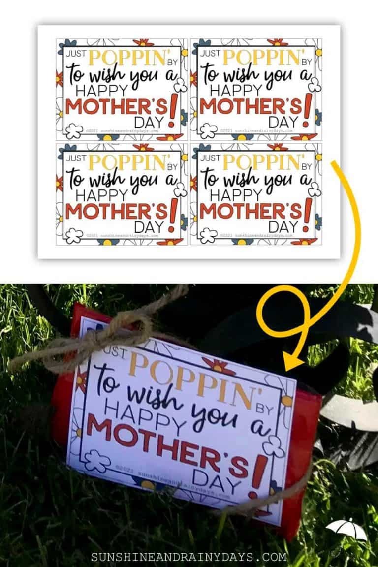 Mother’s Day Microwave Popcorn Tag