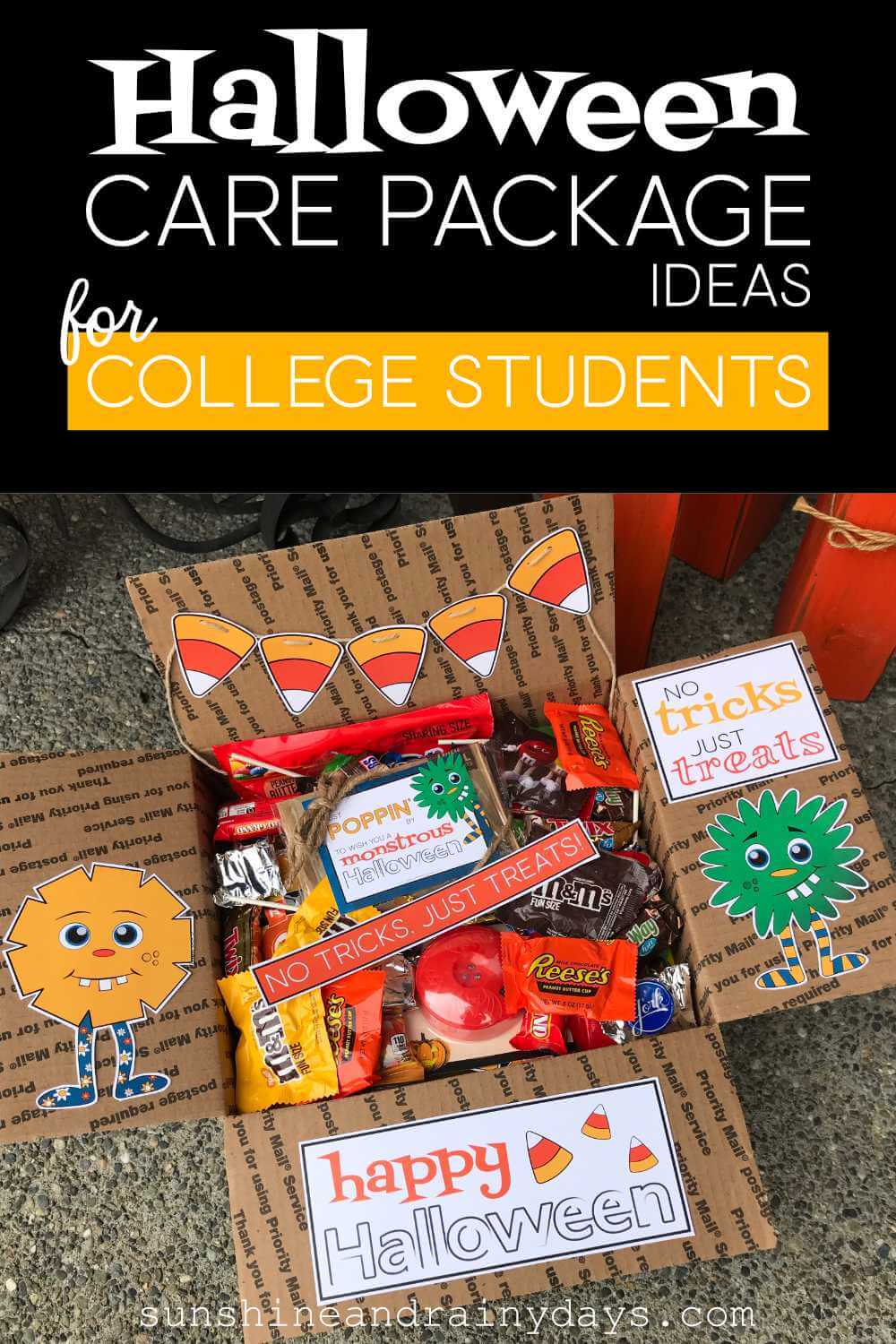 Halloween care packages store for college students