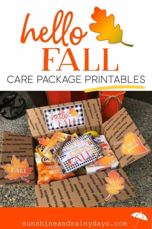 What To Put In A Fall Box For College Students - Sunshine and Rainy Days