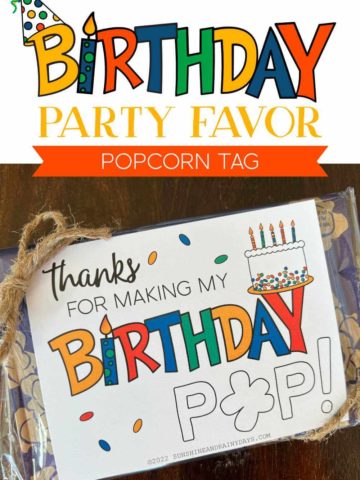 Popcorn Birthday Party Favor Idea